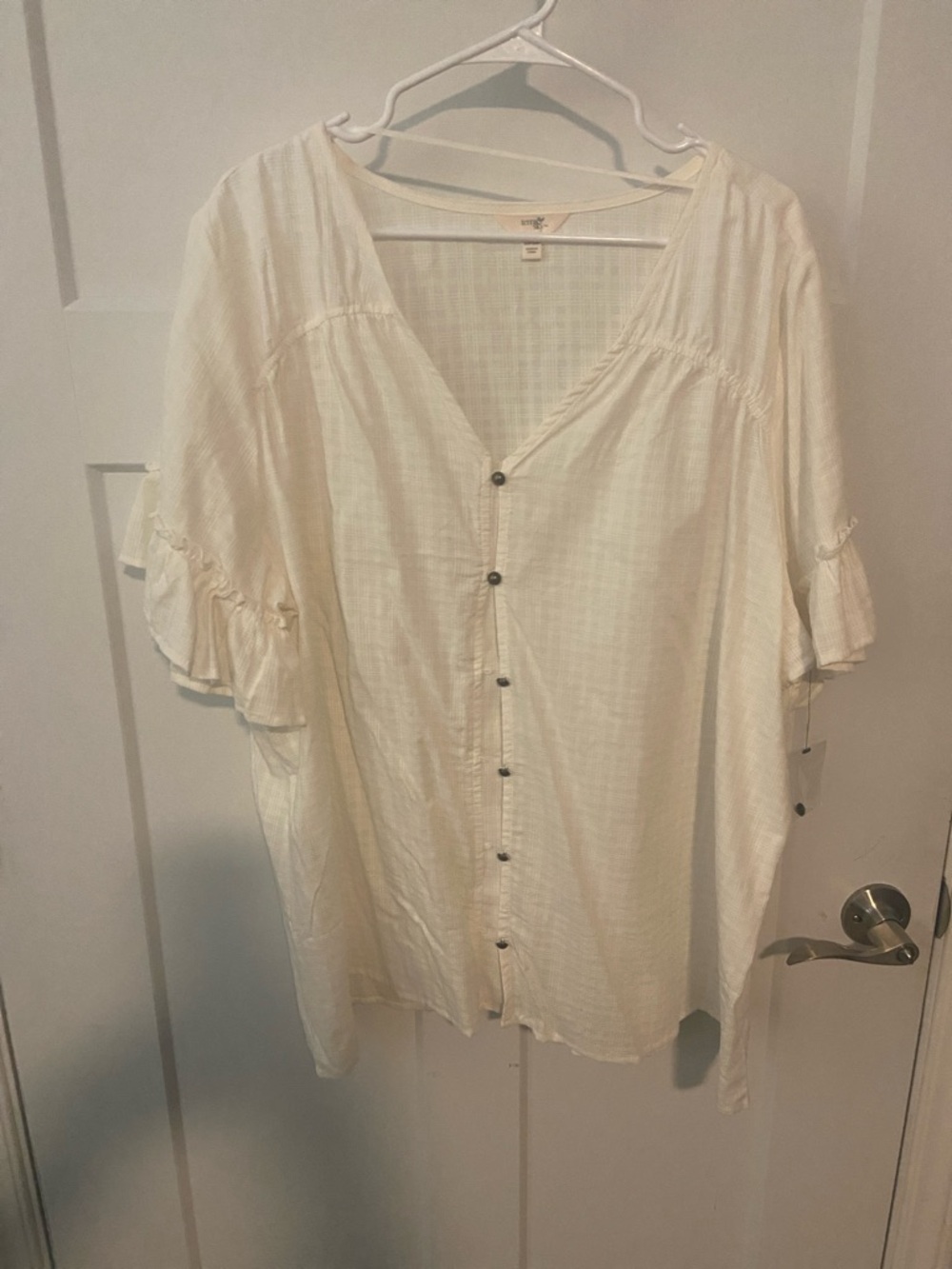 Terra & Sky Cream Button-Front V-Neck Ruffle Sleeve Blouse